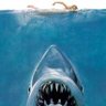Shark profil fotoğrafı