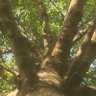 Green gurgaon profil fotoğrafı