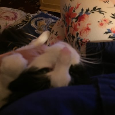 Katherine's profile picture