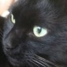 Фото профиля 🐾*𝓬𝓸𝓬𝓸*🐾