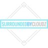 SurroundedByCloudz's profile picture