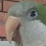 Profilbild von Manny