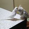 ナルト🍥と愉快な仲間たち💞 的头像