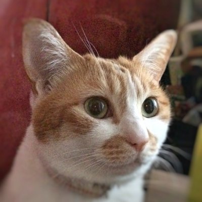vnsl0o's profile picture