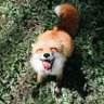 小卓's profile picture