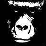 Profilbild von Morilla