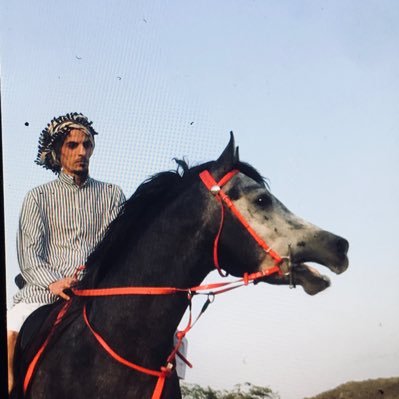 mutairi010's profile picture