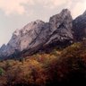 Фото профиля 金さん(金子孝信)