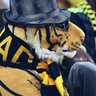عاشق الاتحاد profil fotoğrafı