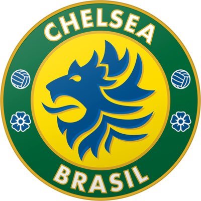 chelsbrasil's profile picture