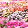 Фото профиля 古賀茂