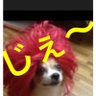 Фото профиля じぇ〜(5月2.3参戦)イエローハート号作製中