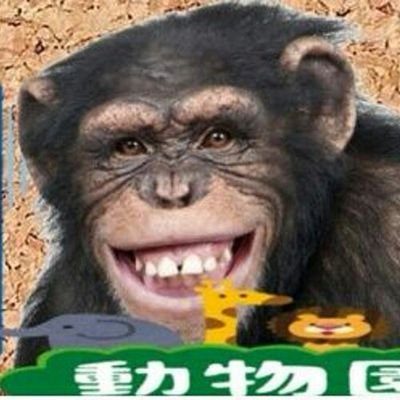 MSTDNokorizaru's profile picture