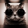 Evgen's profile picture