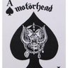 Profilbild von AceofSpades
