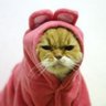 HumpX's profile picture