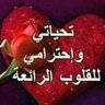 🌺🌸🌺🌸 profil fotoğrafı