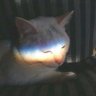 hsu's profile picture