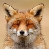 Profilbild von JKilla