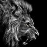 Фото профиля Tony Mitchell
