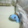 Profilbild von みかん