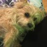 MareJohnson's profile picture