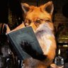 Cassandra Tully's profile picture