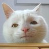 Фото профиля ゆるっと投資生活