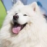 カズヤ☆涙が降る前に☆キミが必要♪ profil fotoğrafı