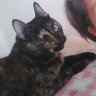 Alba Luz Vellojin R's profile picture