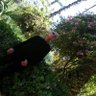 Tebiche Samir profil fotoğrafı