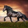 opalina44 profil fotoğrafı