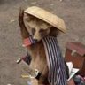 Quaxinim Anarquista's profile picture