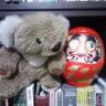 MajimeKoala::eat_the_rich's profile picture