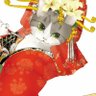 Фото профиля 木槿