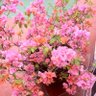 Фото профиля Gloria