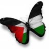 محب المسرى 的头像