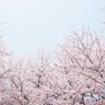 あたらしい朝 。 的头像