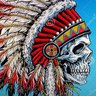 President elect NDN Lives Matter 的头像