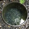 Фото профиля 横浜のねこさん