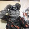 Sieg(ダイナミック開封P)'s profile picture