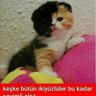 fagag profil fotoğrafı