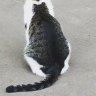 Profilbild von alex 🇺🇦