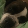 QueenMrs2's profile picture