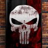 The Punisher 的头像