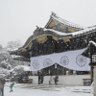 Фото профиля 和楽