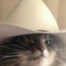 Texas Gal 的头像