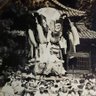 日本生態系右翼団体代表 profil fotoğrafı