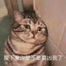 蒸蛋 的头像