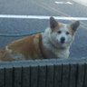 オタク野郎なのですみません(`◇´)ゞ's profile picture